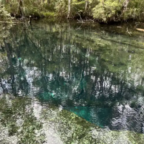 Crystal-clear blue spring water at Weeki Wachee, Hernando County, Florida